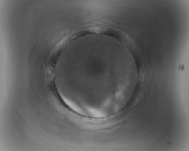 X0000113560043200910091425