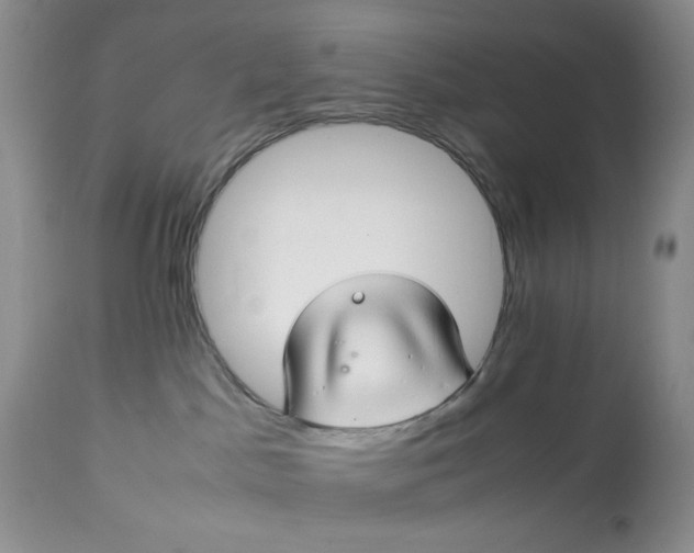 X0000113560045200910091425
