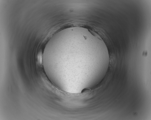 X0000113560046200910091425