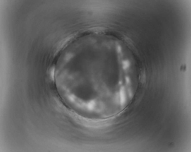 X0000113560047200910091425