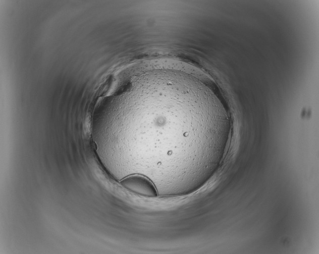 X0000113560048200910091425