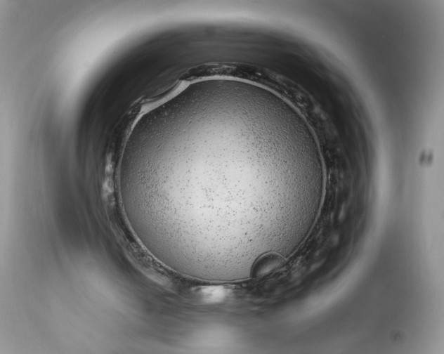X0000113560050200910091424