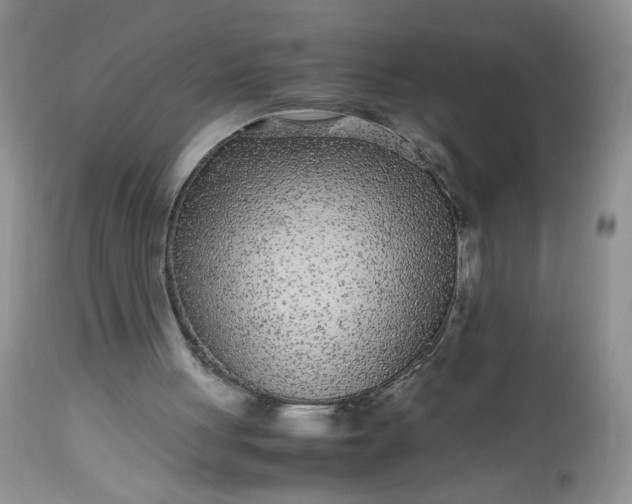X0000113560051200910091424