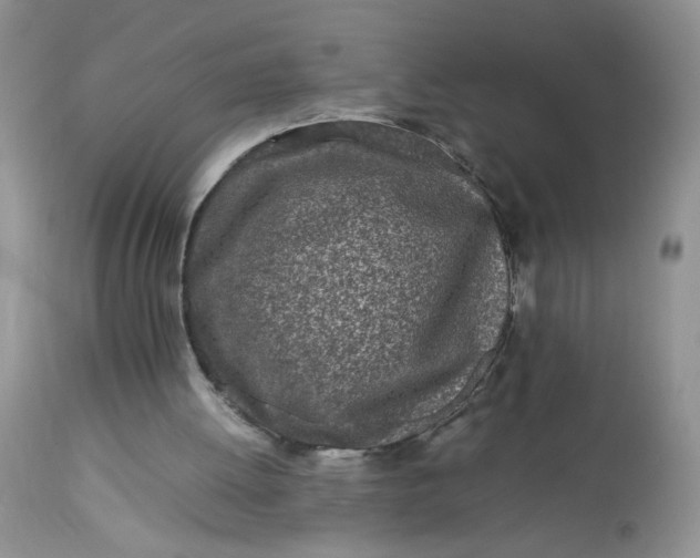 X0000113560052200910091424