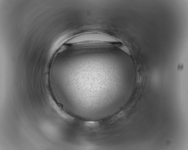 X0000113560053200910091424