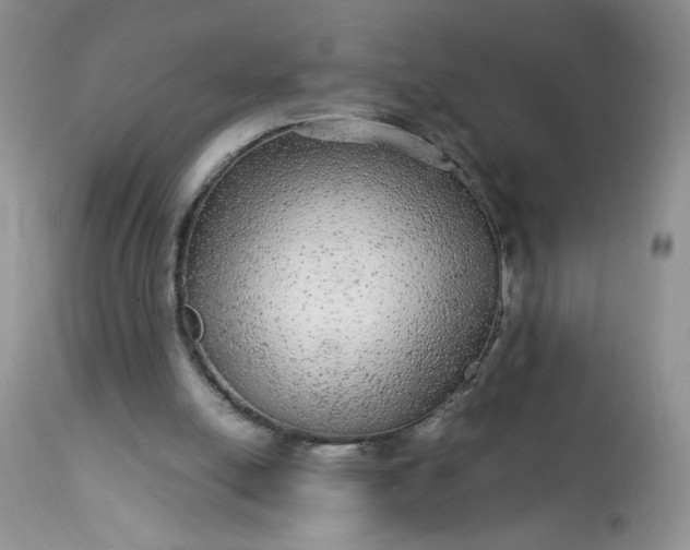 X0000113560054200910091424