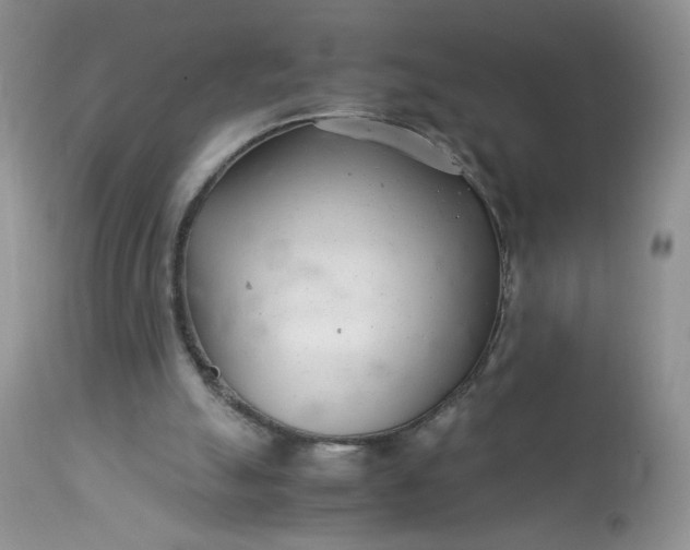X0000113560055200910091424