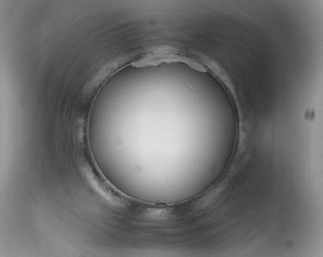 X0000113560057200910091424