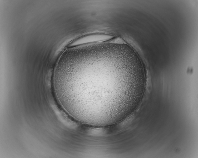 X0000113560058200910091424