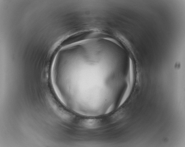 X0000113560059200910091424