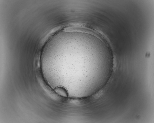 X0000113560062200910091424