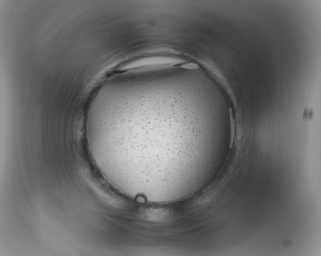 X0000113560063200910091425