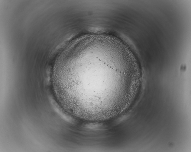 X0000113560065200910091425