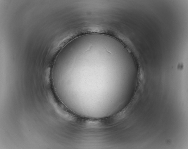 X0000113560066200910091425