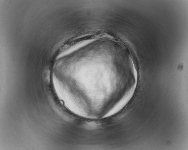 X0000113560067200910091425