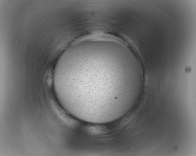 X0000113560069200910091425