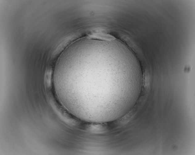 X0000113560070200910091425
