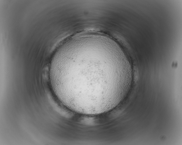 X0000113560071200910091425