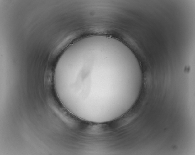 X0000113560072200910091425