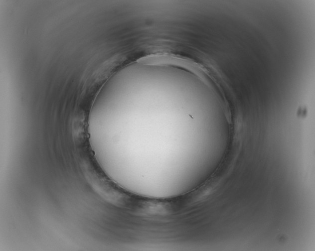 X0000113560073200910091425