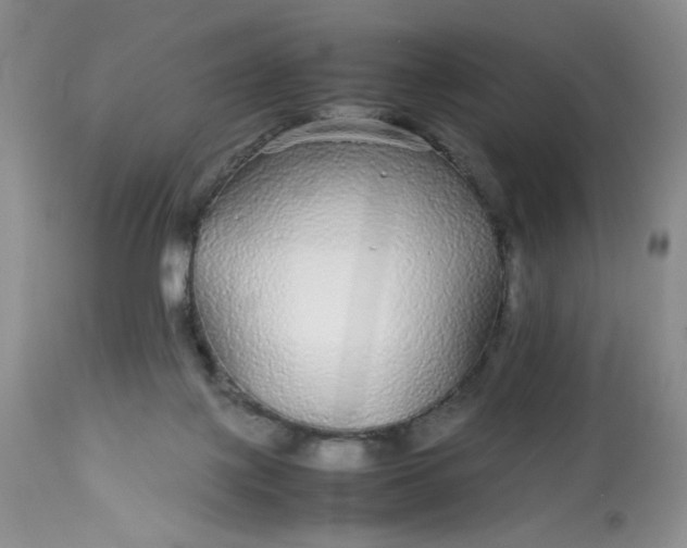 X0000113560075200910091425
