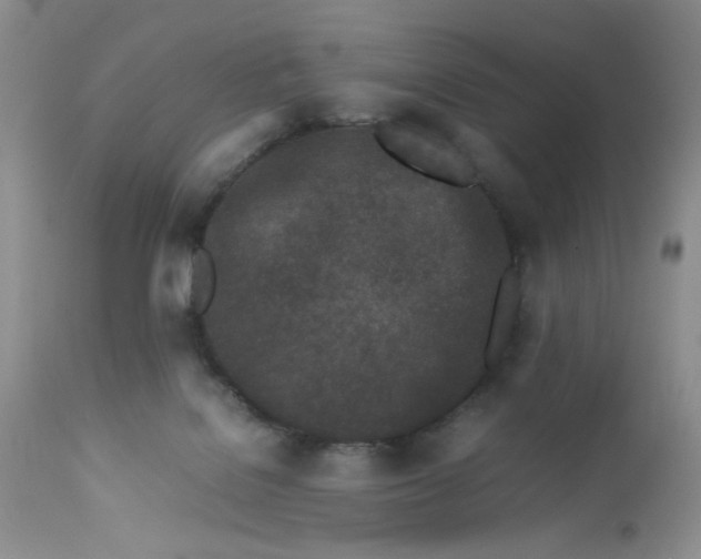 X0000113560076200910091425