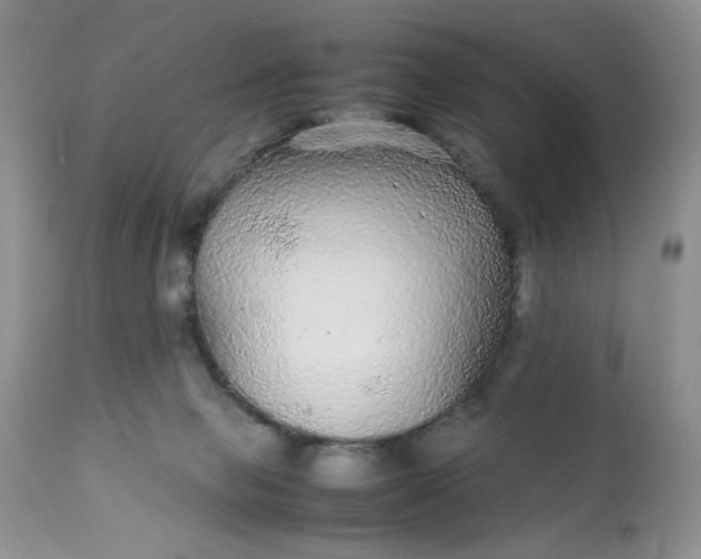 X0000113560077200910091425