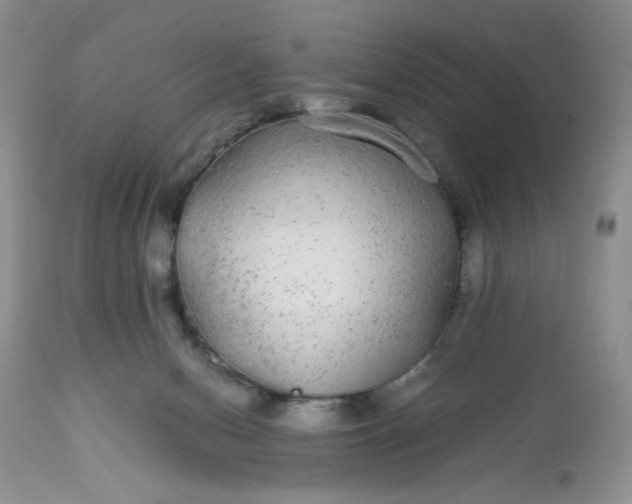 X0000113560078200910091425
