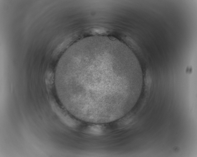 X0000113560079200910091425