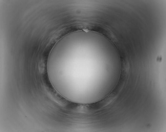 X0000113560080200910091425