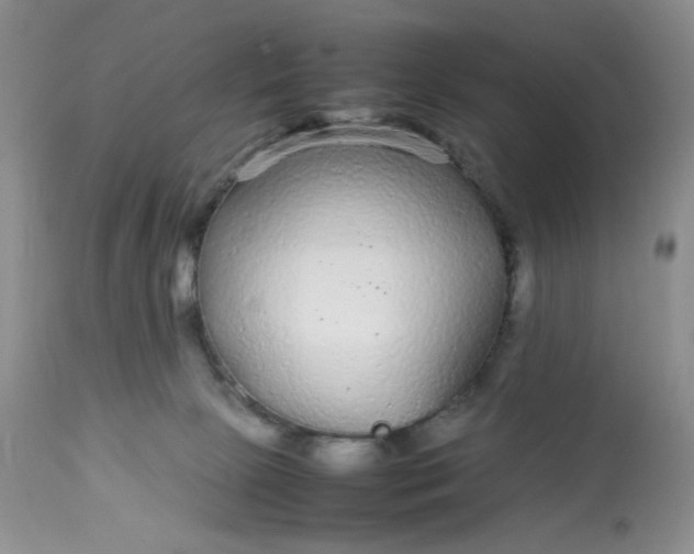 X0000113560081200910091425