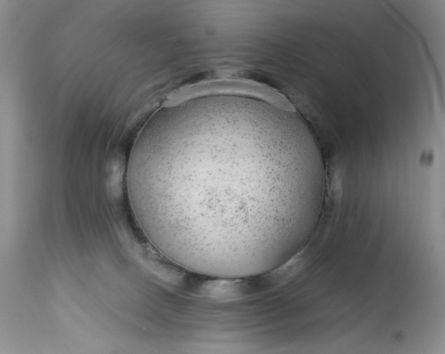 X0000113560082200910091425