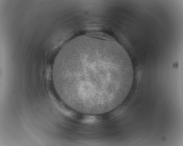 X0000113560083200910091425