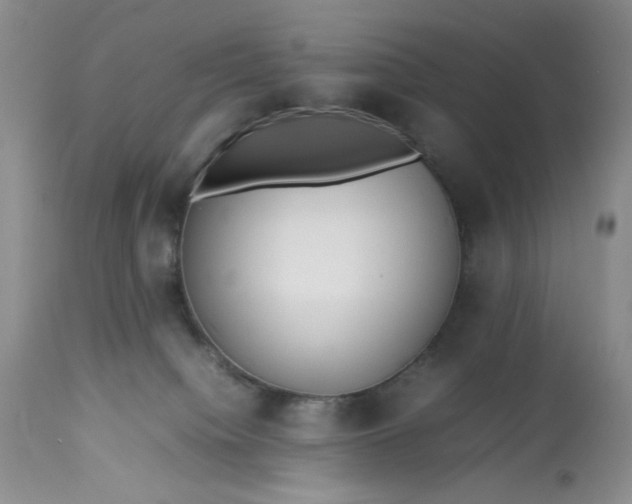X0000113560084200910091425
