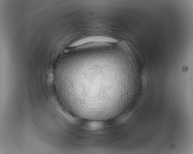 X0000113560085200910091425