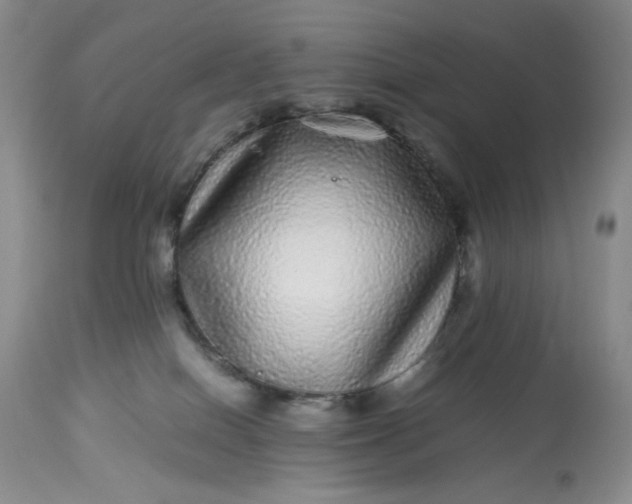 X0000113560086200910091425