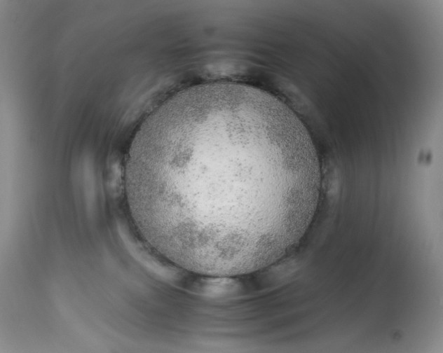 X0000113560087200910091425