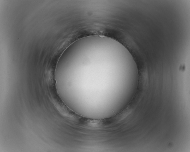 X0000113560088200910091425