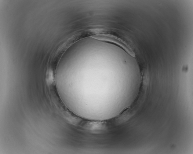X0000113560089200910091425