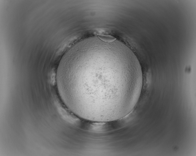 X0000113560090200910091425