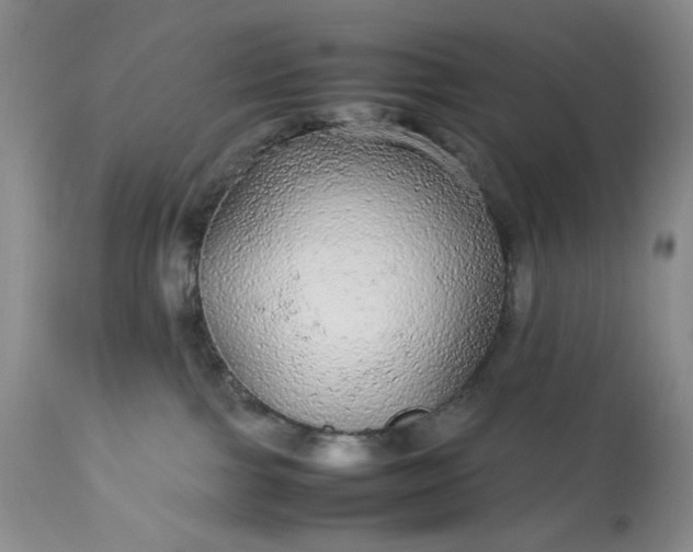 X0000113560091200910091425