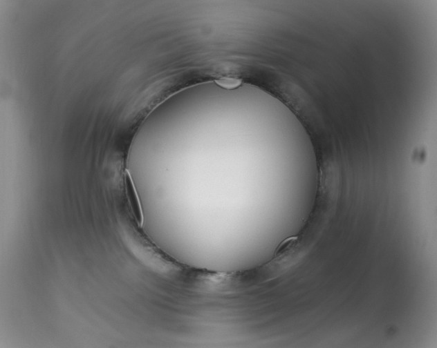 X0000113560092200910091425