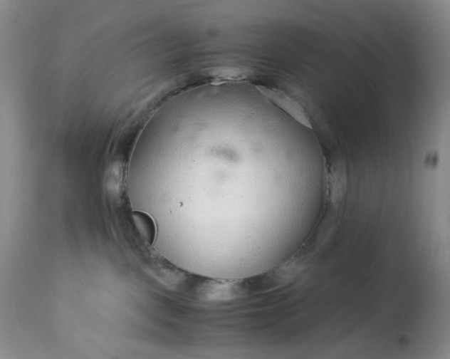 X0000113560093200910091425