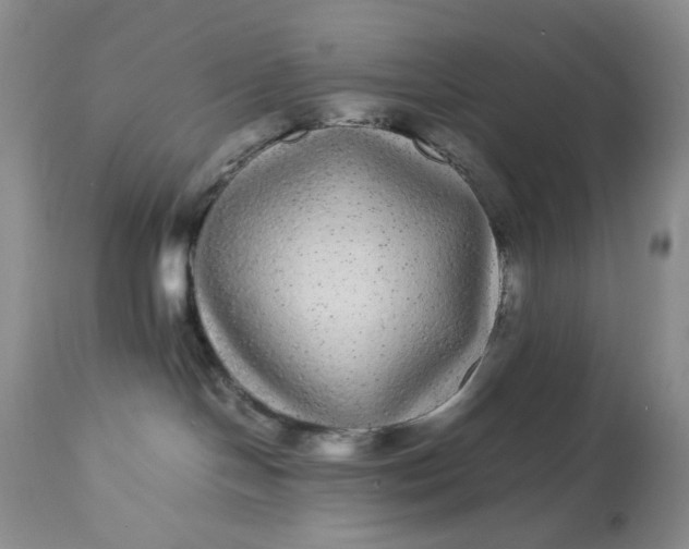X0000113560094200910091425