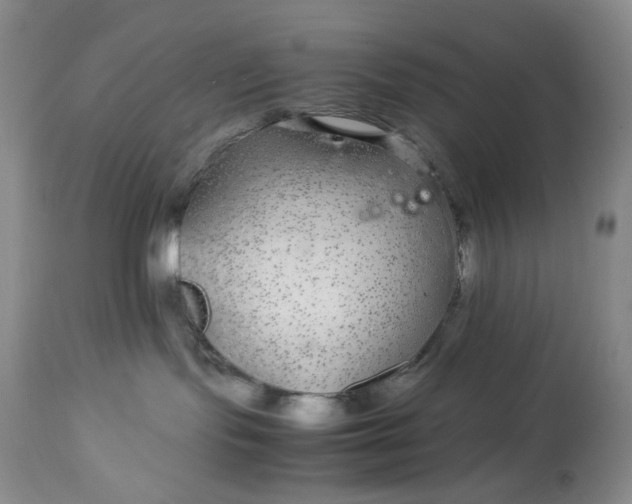 X0000113560095200910091425
