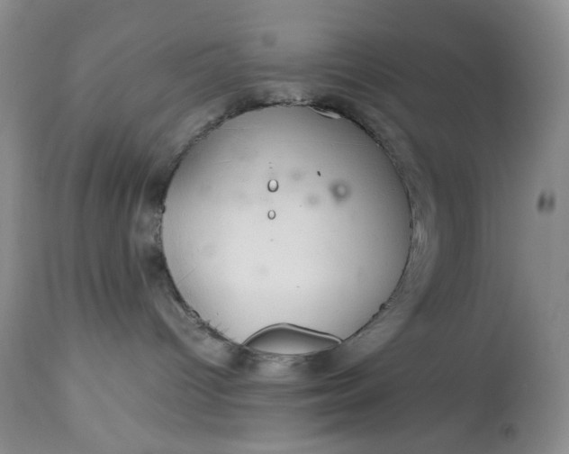 X0000113560096200910091425
