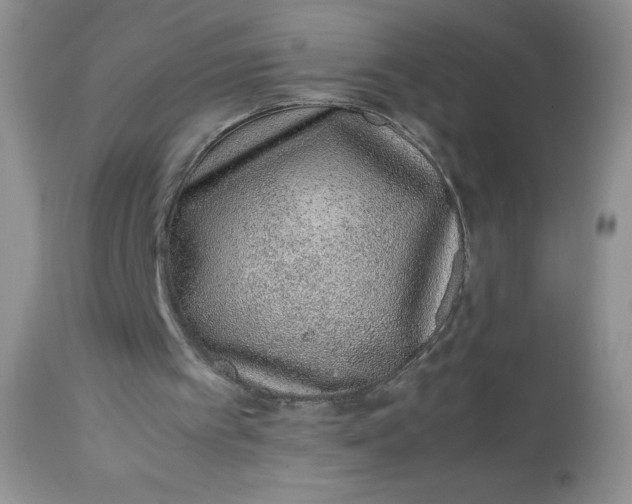 X0000113560097200910091424
