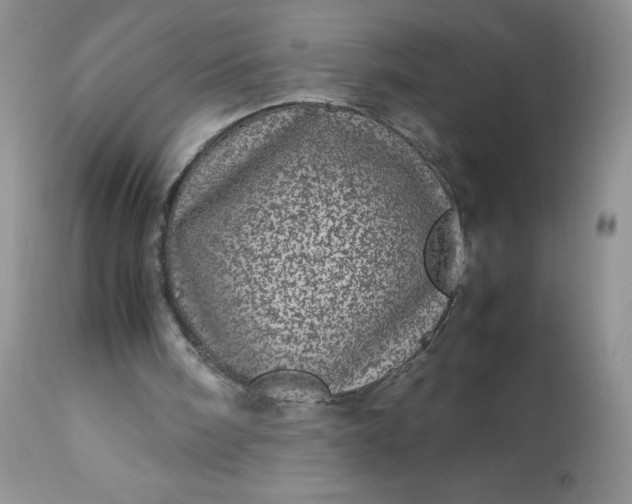 X0000113560098200910091424