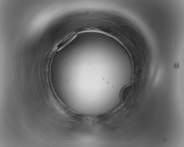 X0000113560099200910091424