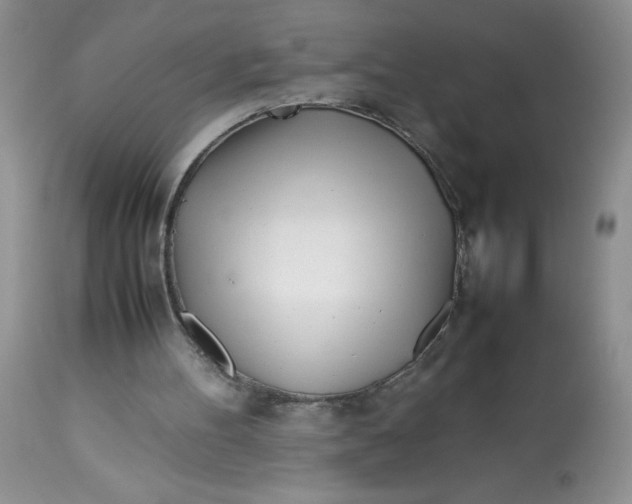 X0000113560100200910091424